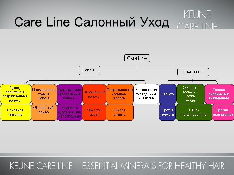 Care Line     Волосы  Кожа головы Сухие,  пористые 